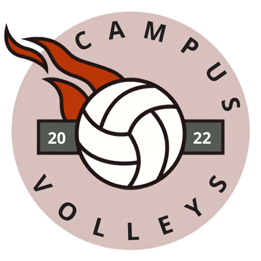 FH Volleys Logo